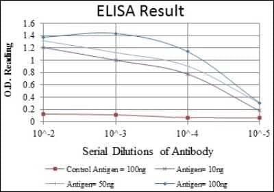ELISA: Otx2 Antibody (1H12C4B5) - BSA Free [NBP2-37597]