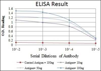 ELISA: Otx2 Antibody (1H12G8B2) - BSA Free [NBP2-37596]