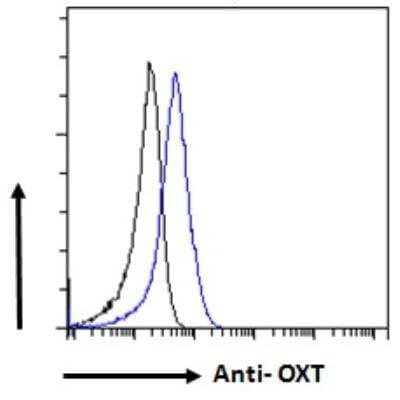 Flow Cytometry: Oxytocin/Neurophysin I Antibody [NBP2-76346]