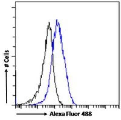 Flow Cytometry: P2X4 Antibody [NBP1-00141]