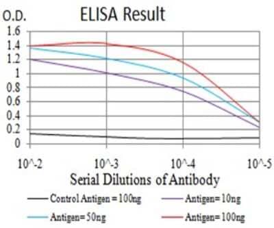 ELISA: P2X7/P2RX7 Antibody (7G1D6) - BSA Free [NBP2-61748]
