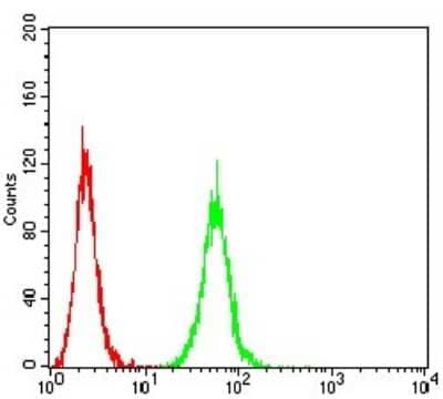 Flow Cytometry: P2X7/P2RX7 Antibody (7G1D6) - BSA Free [NBP2-61748]