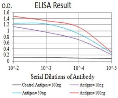 ELISA: P2Y12/P2RY12 Antibody (1C2A9) - BSA Free [NBP2-61749]