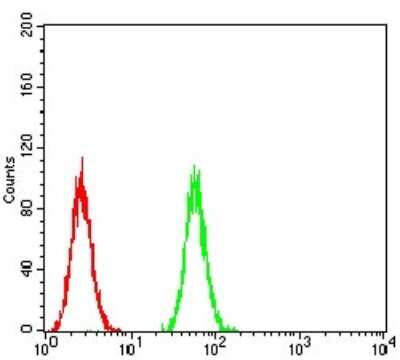 Flow Cytometry: P2Y13/P2RY13/GPR86 Antibody (3E8C12) - BSA Free [NBP2-52527]