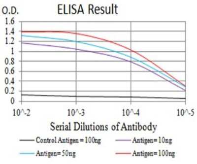 ELISA: P2Y4/P2RY4 Antibody (3B4C11) - BSA Free [NBP2-61759]