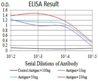 ELISA: P2Y4/P2RY4 Antibody (3B4H6) - BSA Free [NBP2-61760]