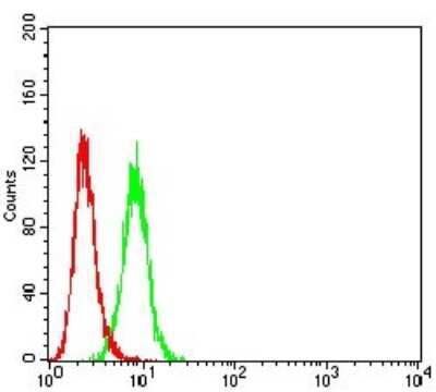 Flow Cytometry: P2Y4/P2RY4 Antibody (3B4H6) - BSA Free [NBP2-61760]