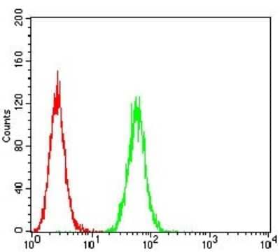 Flow Cytometry: P2Y8 Antibody (1G5A11) - BSA Free [NBP2-61761]