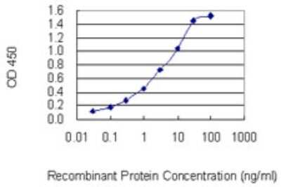 ELISA: P4HA3 Antibody (7F10) [H00283208-M02]