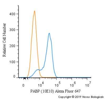 Flow Cytometry: PABP Antibody (10E10) - BSA Free [NB120-6125]