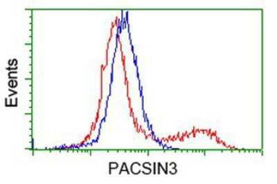 Flow Cytometry: PACSIN3 Antibody (OTI2A3) [NBP2-03477]