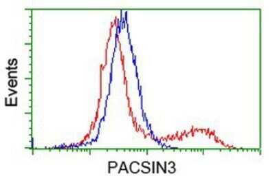 Flow Cytometry: PACSIN3 Antibody (OTI2A3) - Azide and BSA Free [NBP2-73223]