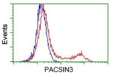 Flow Cytometry: PACSIN3 Antibody (OTI4F8) - Azide and BSA Free [NBP2-73221]