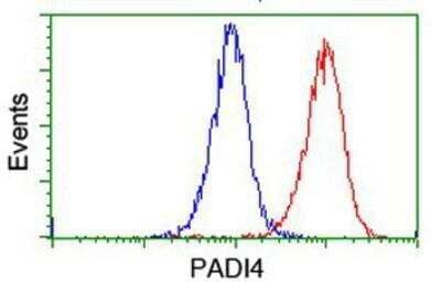Flow Cytometry: PADI4 Antibody (OTI4H5) [NBP2-02082]