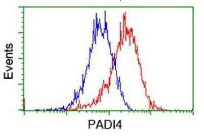 Flow Cytometry: PADI4 Antibody (OTI4H5) [NBP2-02082]