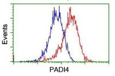 Flow Cytometry: PADI4 Antibody (OTI4H5) - Azide and BSA Free [NBP2-73226]