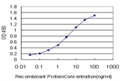 ELISA: PALM2 Antibody (1A8) [H00114299-M09]
