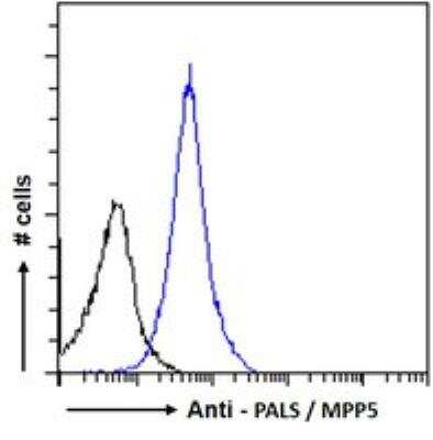 Flow Cytometry: PALS1/MPP5 Antibody [NB300-952]
