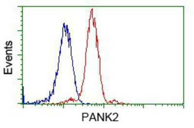 Flow Cytometry: PANK2 Antibody (OTI3H9) [NBP2-02677]