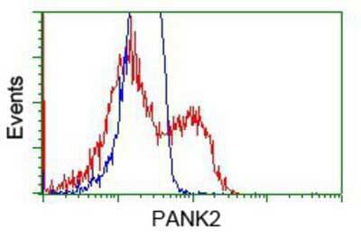 Flow Cytometry: PANK2 Antibody (OTI3H9) [NBP2-02677]