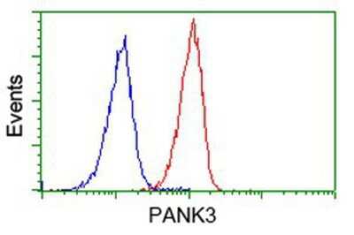 Flow Cytometry: PANK3 Antibody (OTI3C4) [NBP2-03298]
