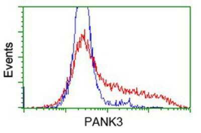 Flow Cytometry: PANK3 Antibody (OTI3C4) [NBP2-03298]