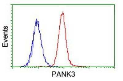 Flow Cytometry: PANK3 Antibody (OTI3C4) - Azide and BSA Free [NBP2-73244]