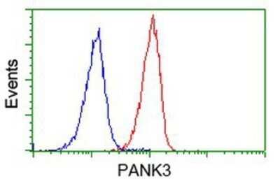 Flow Cytometry: PANK3 Antibody (OTI3C4) - Azide and BSA Free [NBP2-73244]