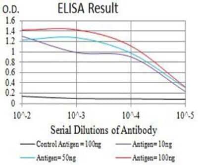 ELISA: PAR1/Thrombin Receptor Antibody (5E2E6) - BSA Free [NBP2-61770]