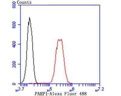 Flow Cytometry: PARP Antibody [NBP3-09070]