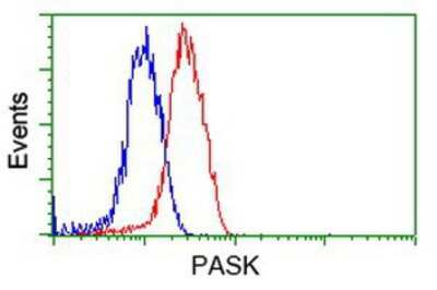 Flow Cytometry: PASK Antibody (OTI8G9) [NBP2-02242]