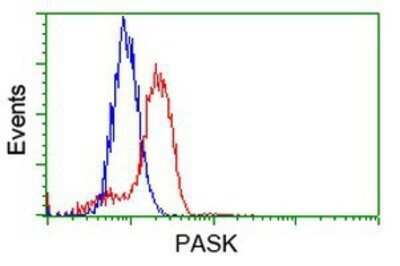 Flow Cytometry: PASK Antibody (OTI8G9) - Azide and BSA Free [NBP2-73249]