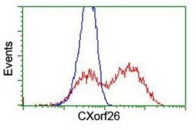 Flow Cytometry: PBDC1 Antibody (OTI4E11) - Azide and BSA Free [NBP2-71912]