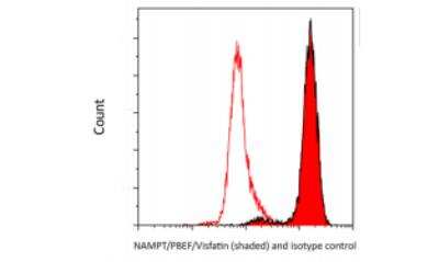 Flow Cytometry: PBEF/Visfatin/NAMPT Antibody (BLR058F) [NBP2-76368]