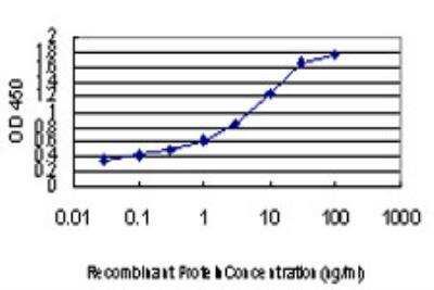 ELISA: PBK Antibody (2D6) [H00055872-M03]