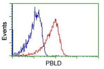 Flow Cytometry: PBLD Antibody (OTI7G5) [NBP2-03265]