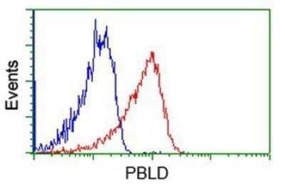 Flow Cytometry: PBLD Antibody (OTI7G5) - Azide and BSA Free [NBP2-73262]