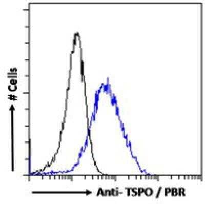 Flow Cytometry: PBR Antibody [NB100-41398]