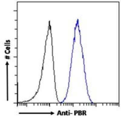 Flow Cytometry: PBR Antibody [NBP1-51934]