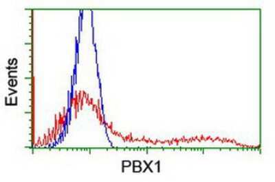 Flow Cytometry: PBX1 Antibody (OTI1C11) [NBP2-00872]