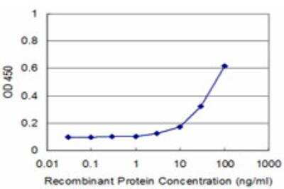ELISA: PCBP2 Antibody (3A1) [H00005094-M04]
