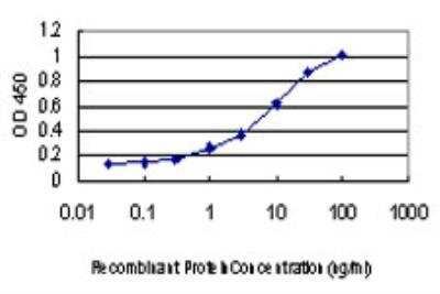 ELISA: PCBP2 Antibody (5F12) [H00005094-M07]