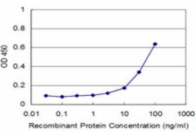 ELISA: PCBP2 Antibody (6B6) [H00005094-M06]
