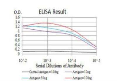ELISA: PCDH9 Antibody (7G3A2) - BSA Free [NBP2-61772]