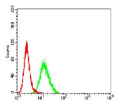 Flow Cytometry: PCDH9 Antibody (7G3A2) - BSA Free [NBP2-61772]