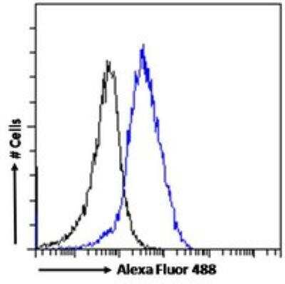 Flow Cytometry: PCK2 Antibody [NB100-2422]