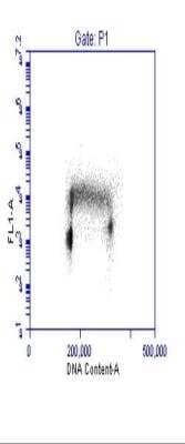 Flow Cytometry: PCNA Antibody [NB100-456]