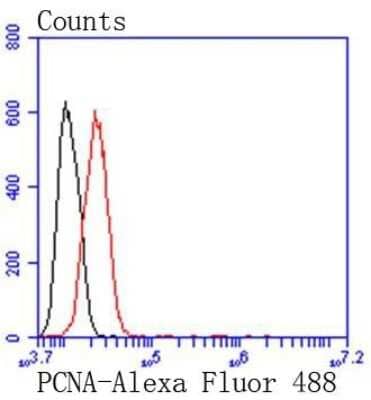 Flow Cytometry: PCNA Antibody (SY12-07) [NBP2-67390]