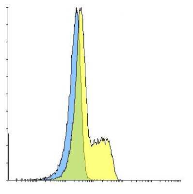Flow Cytometry: PD-1 Antibody (F34C9) - VHH - Azide and BSA Free [NBP3-12829]