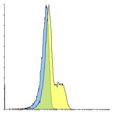 Flow Cytometry: PD-1 Antibody (F42D7) - VHH - Azide and BSA Free [NBP3-12828]